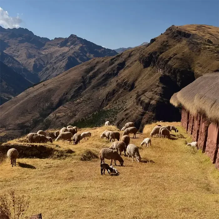 Huchuy Qosqo Trek to Machu Picchu 2 days — photo 4