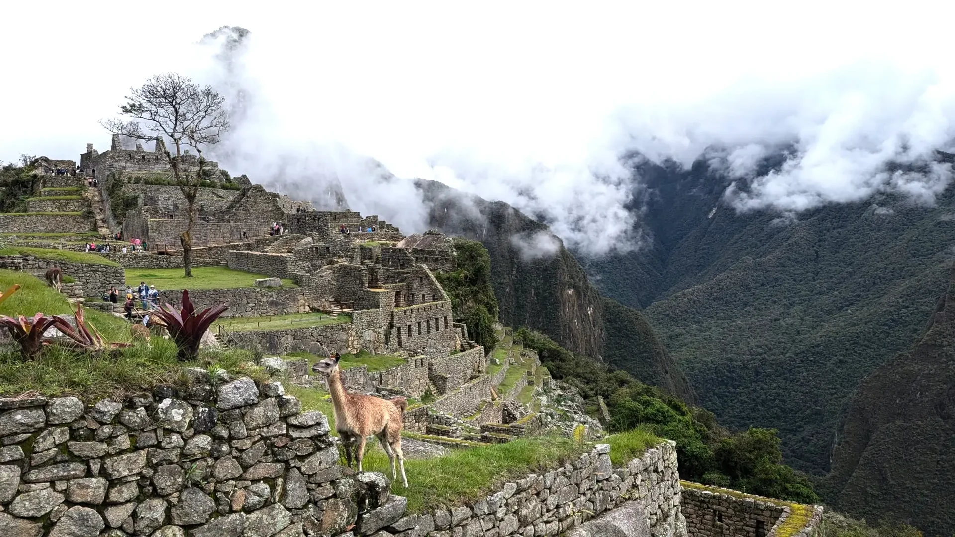 Classic Inca Trail To Machu Picchu 4 Days — photo 2