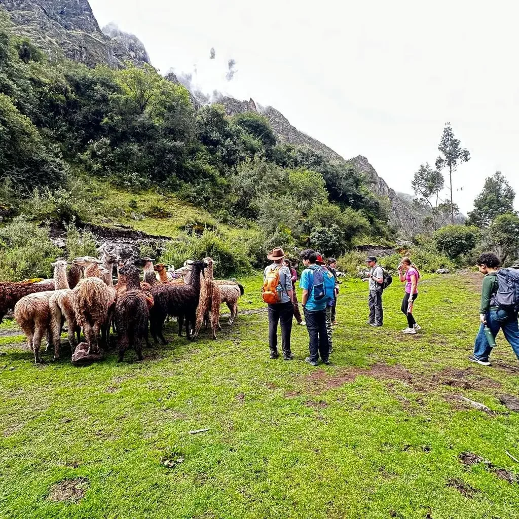 Local community activities from the Nomad in Peru social project