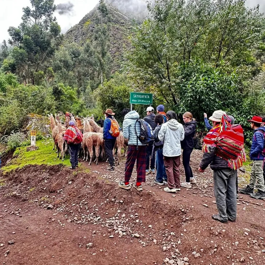 Community participation in the Nomad in Peru social project