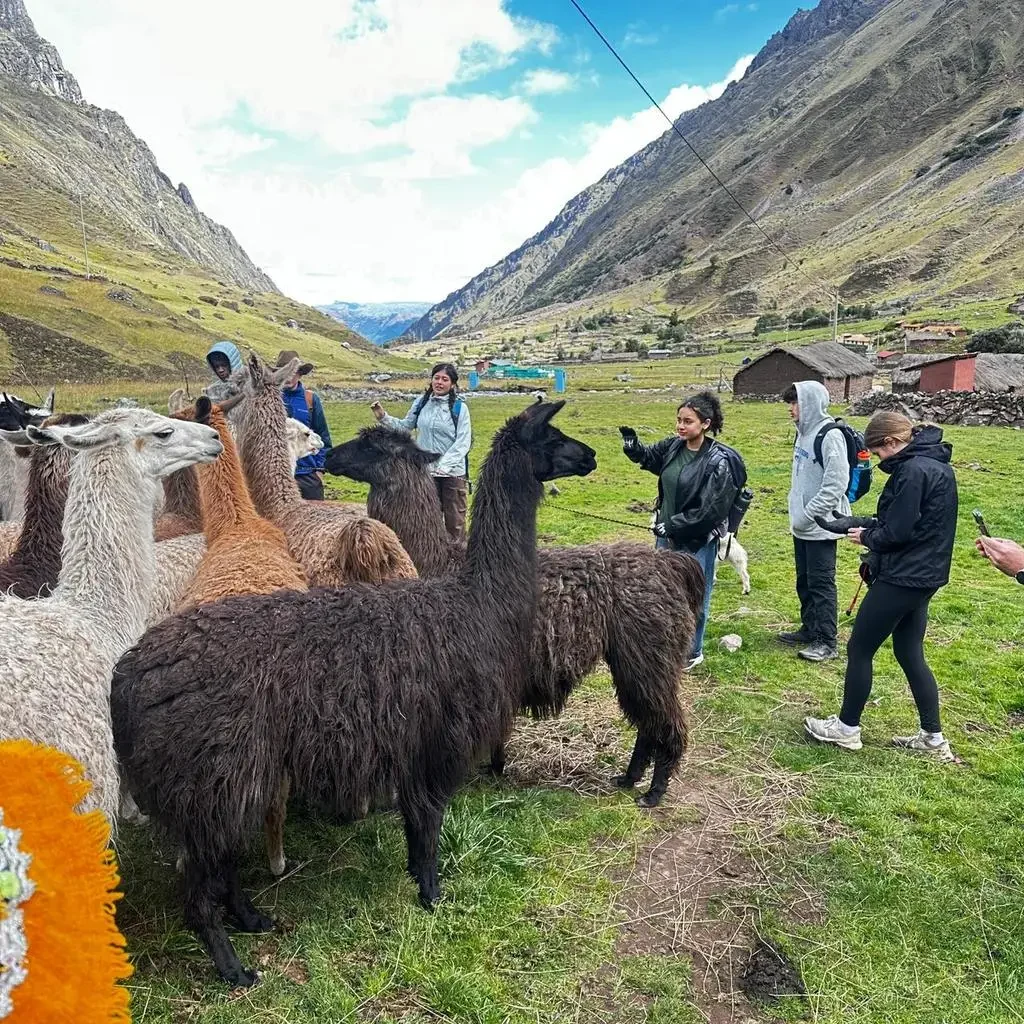 Community participation in the Nomad in Peru social project