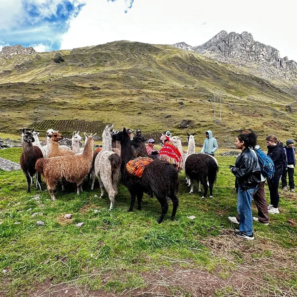 Nomad in Peru community project in the Andes
